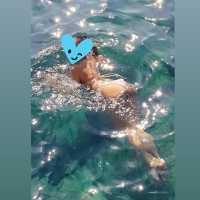 Genç Partnerlerine Kapılarını Açan Yenişehir Eskort - Ateşli Bir Hayata Adım Atın!