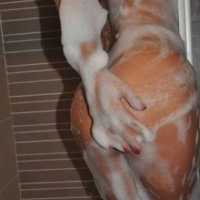 Mezitli'deki Klas Hanımefendi: Gizemli Escort Suna